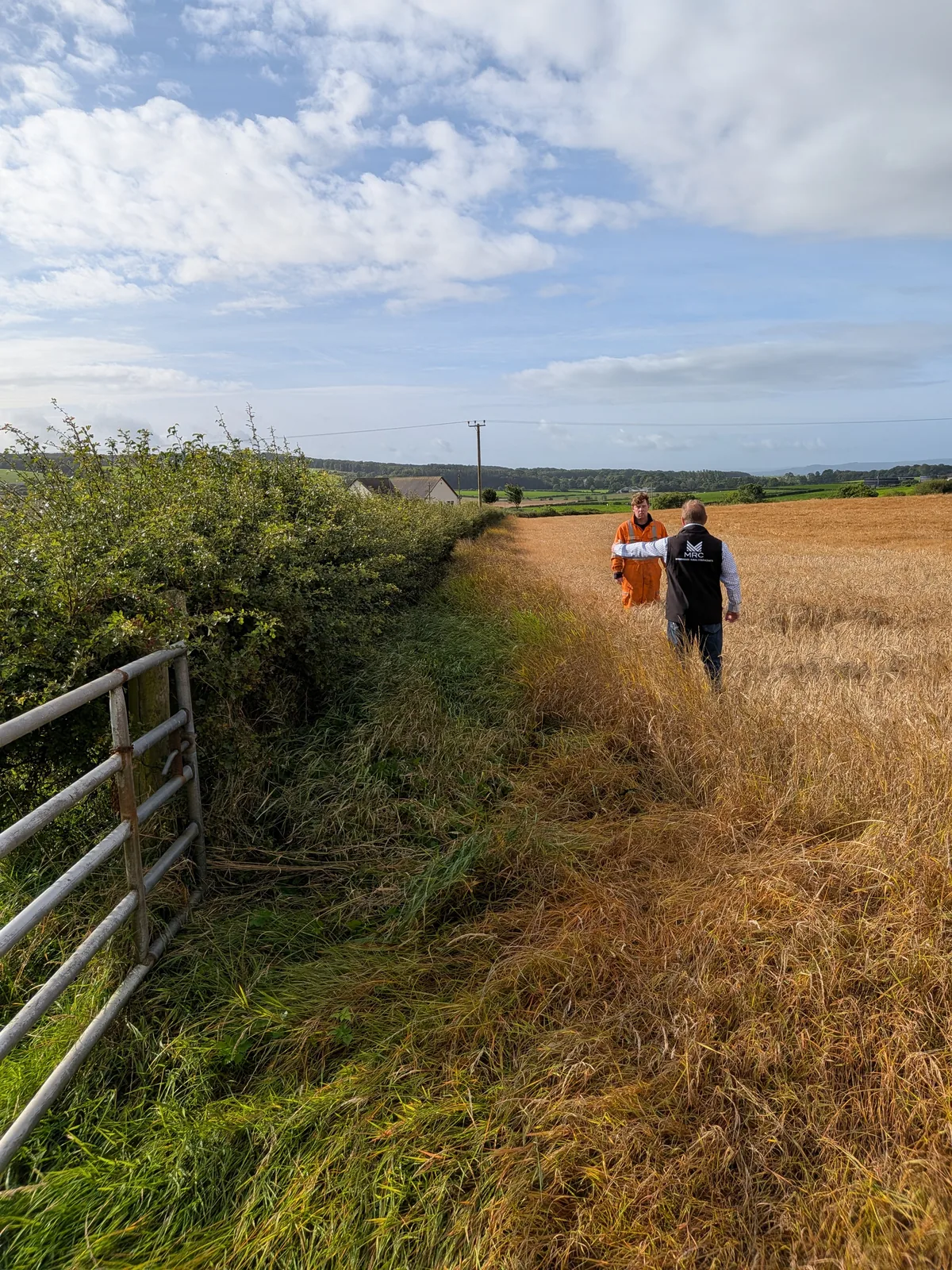 People walking along a rural farm track