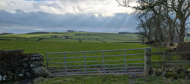 Land Management Consultants