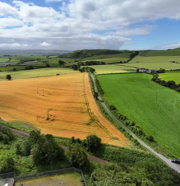 Land Management Consultants