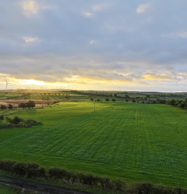 Land Management Consultants
