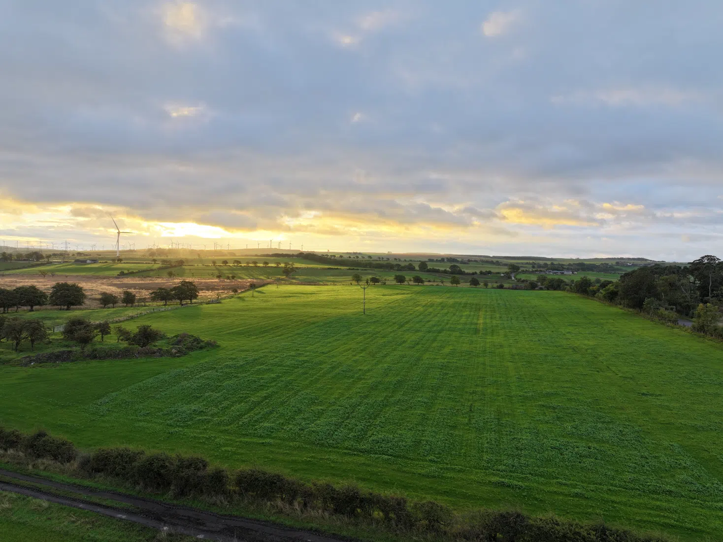 Land Management Consultants