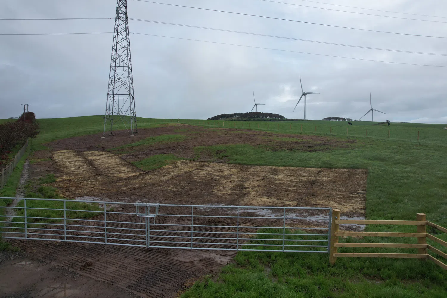Disturbance and reinstatement example 3