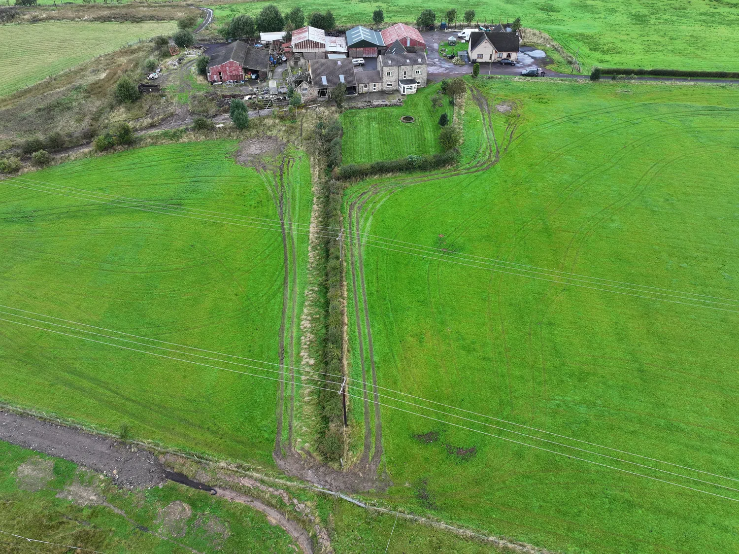 Disturbance and reinstatement example 4