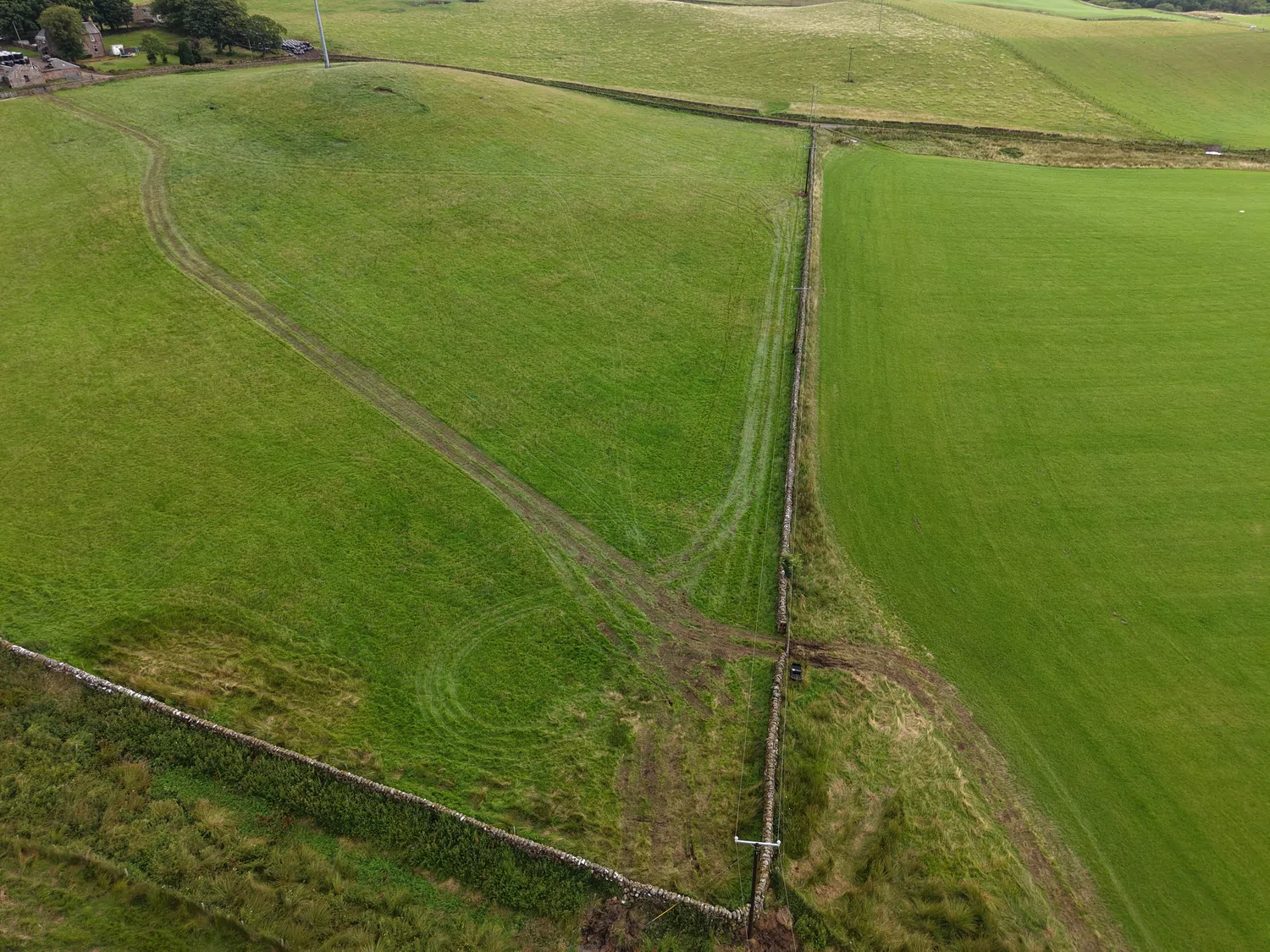 Disturbance and reinstatement example 6