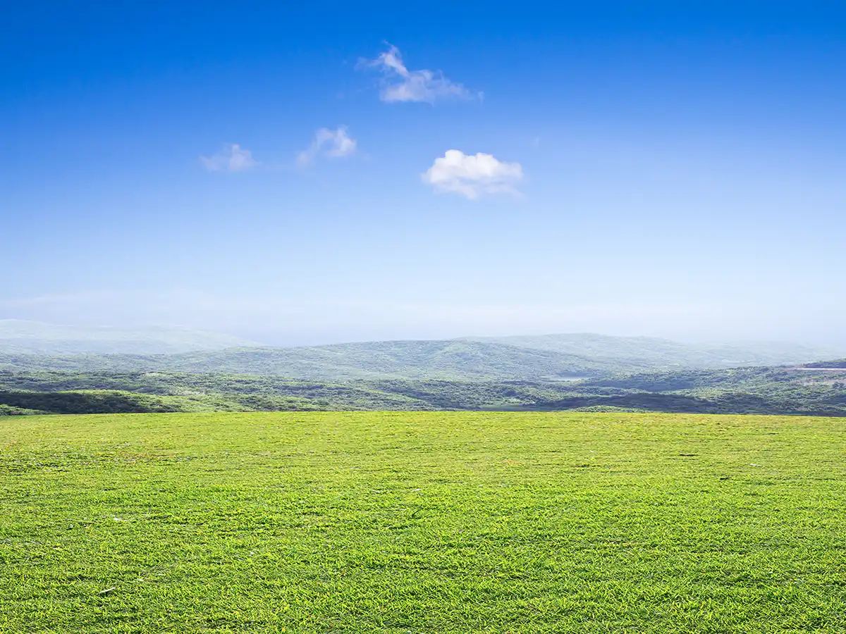 Rural landscape in Scotland