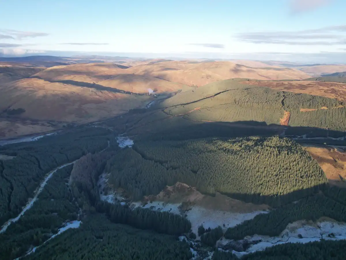 Forestry and rural land in Scotland